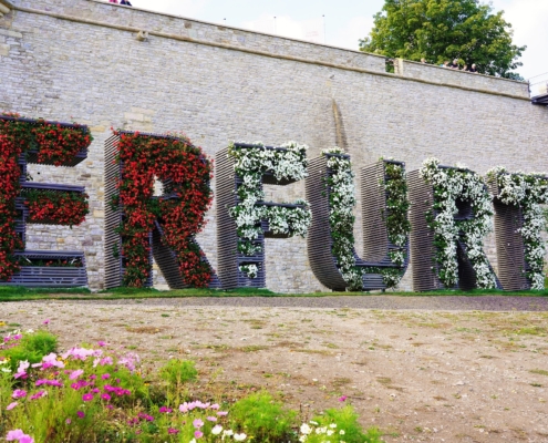 Erfurt-Schriftzug am Petersberg Der Erfurt-Schriftzug am Petersberg ist über und über gesäumt mit Blumen. In den Buchstaben befinden sich rot und weiß blühende Blumen. Im Hintergrund ist eine historische Mauer und eine gläserne Brücke zu sehen.